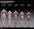 Phicen TBLeague S25B Suntan, Medium Bust Female Seamless 1/6 Body Action Figure